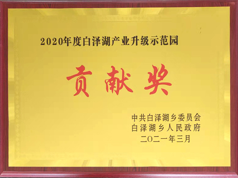 2020年度贡献奖