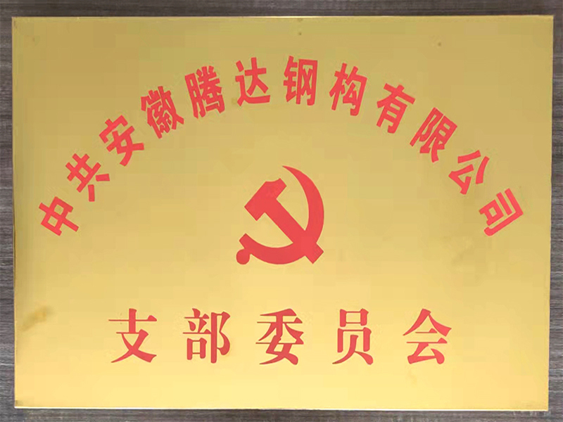 安徽腾达支部委员会