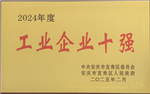 2024年度工业企业十强